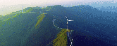 从一棵树到一片林——国家存储产业十年成长记