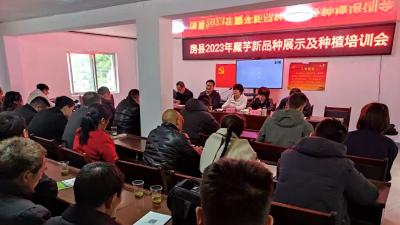 我县举办魔芋绿色优质标准化种植技术专题培训班