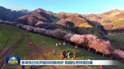 新华鲜报｜新纪录！2025年全国全社会用电量预计首超10万亿千瓦时