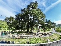 相约房县化龙堰镇上湾村，享一段“幸福慢时光”…