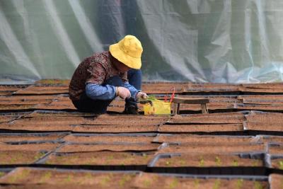 甘肃：在乡村振兴中做好农业发展“大文章”