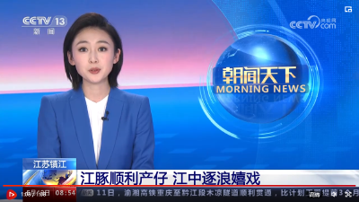 长江生态持续向好 “水中大熊猫”江豚携崽现身保护区