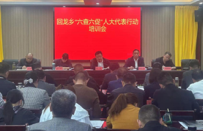 回龙乡：凝聚人大力量 共助乡村振兴