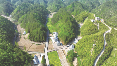 【能力作风建设在行动】县创文办："四张清单"助推能力作风建设走深走实
