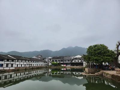 初心如磐——“千万工程”二十年记（上）