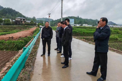 白鹤镇：扎实核对土地图斑 全力实施耕地复垦