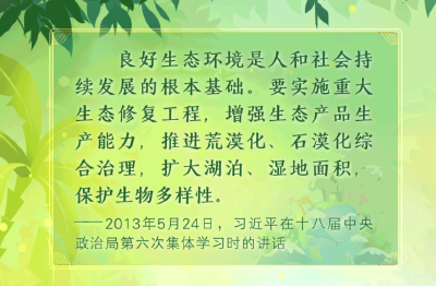 裸眼3D海报｜与总书记一起感受生物多样性之美
