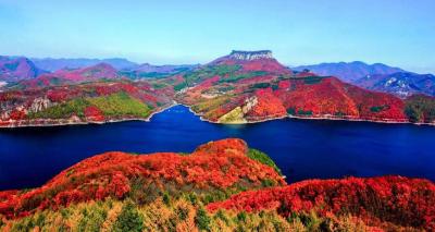 国际观察：民进党当局企图抱“洋大腿”闯世卫——打错算盘！