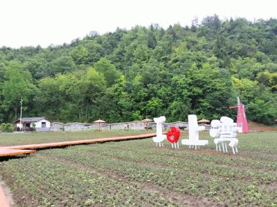 化龙堰镇：服务热线连群众 排忧解难在行动