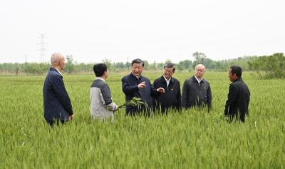 第一观察｜总书记强调做好盐碱地特色农业大文章 