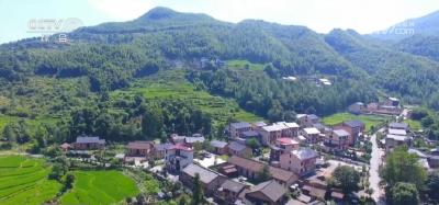 青春匠心 | 精耕农旅融合 迎来乡村“蝶变”
