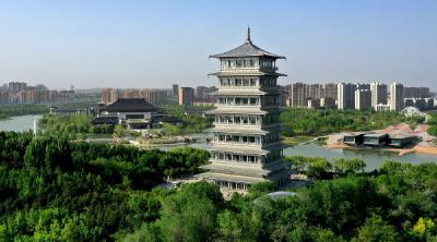 从习主席署名文章看大国外交 | 中柬人民双向奔赴的“暖心”微镜头