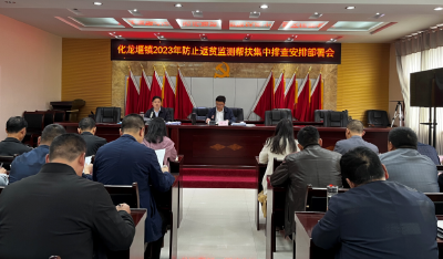化龙堰镇召开防止返贫监测帮扶集中排查安排部署会