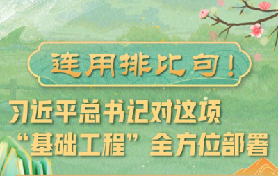 学习进行时丨连用排比句！习近平总书记对这项“基础工程”全方位部署