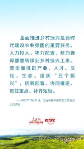 乡村之美｜把乡村振兴战略这篇大文章做好