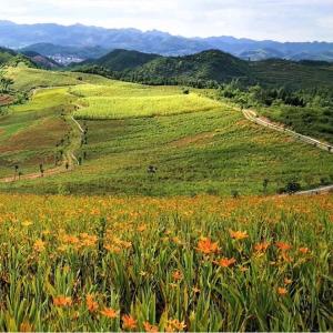 纪律课堂60秒⑫ | 秘密