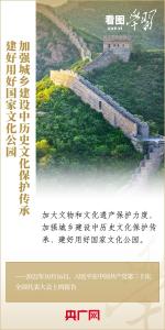 看图学习丨加大文物和文化遗产保护力度