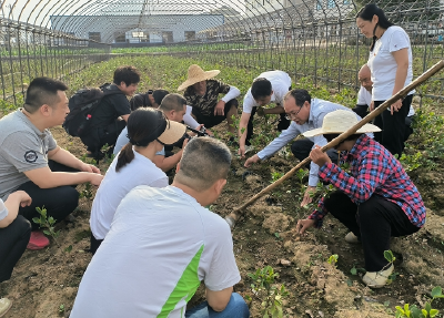市林业局对房县林木种苗基地进行技术指导