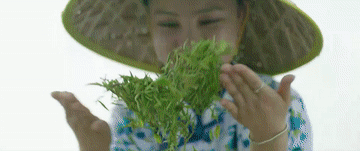 微视频｜共同的追求
