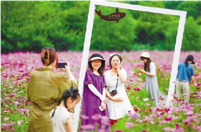 乡村之美｜浙江乡村，20年坚持一件事