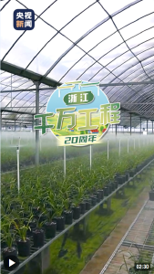 “千万工程”20年 | 浙江：一枝花共富一方百姓