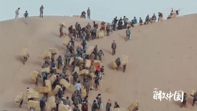 瞰中国｜三北防护林的前世今生