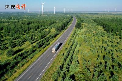 【央视快评】努力创造新时代中国防沙治沙新奇迹