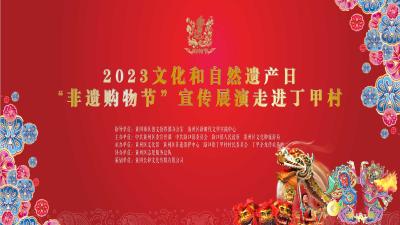 2023文化和自然遗产日 “非遗购物节”宣传展演走进丁甲村