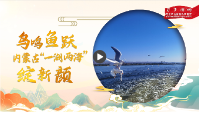 【习声回响】鸟鸣鱼跃 内蒙古“一湖两海”绽新颜
