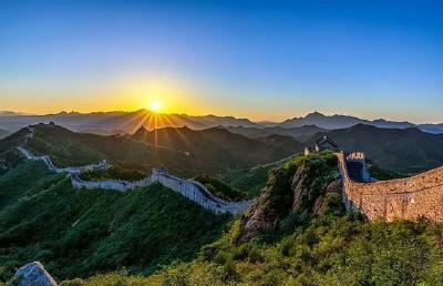 为强国建设、民族复兴提供坚强组织保证——以习近平同志为核心的党中央引领推动党的组织工作纪实