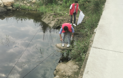 【能力作风建设在行动】沙河乡：强化能力作风建设，助推人居环境整治