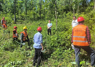 县林业局：开展安全生产大排查攻坚活动
