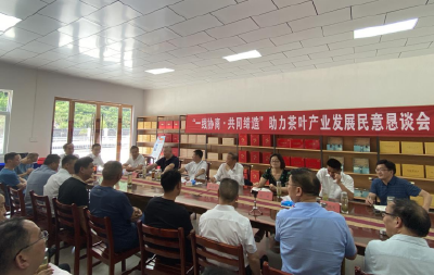 房县政协：“一线协商·共同缔造”助力茶叶产业发展