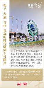 看图学习丨习近平主席为上海合作组织发展提出五点建议
