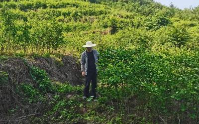 “把为老百姓做了多少好事实事作为检验政绩的重要标准”（总书记的人民情怀）