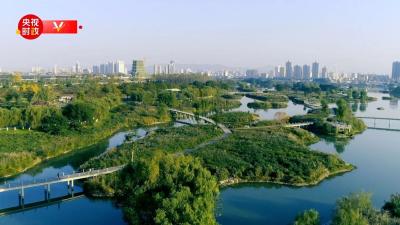 习近平陕西行丨走进汉中市天汉湿地公园