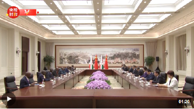 独家视频丨习近平会见布隆迪总统恩达伊施米耶