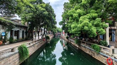 省委常委会召开会议 研究部署深入治理违规吃喝问题