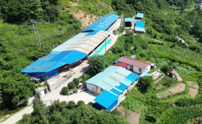 【党旗飘飘】杨光兵：带领群众干“牛事”发“牛财”