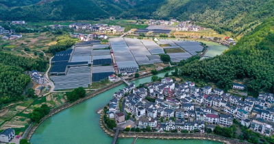 高质量发展迈出新步伐（年中经济观察）