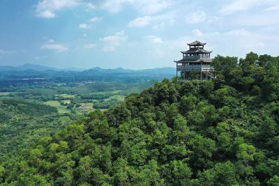 女子意外损毁右手，十堰人医专家把手“种”进肚子“养活”