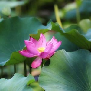 “天更蓝、地更绿、水更清”（人民论坛）