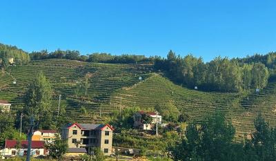 十堰住房公积金中心房县办事处 “一督到底”打造严实作风