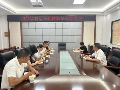 【能力作风建设在行动】白鹤镇：镇村干部挂职取经 携手助力乡村振兴