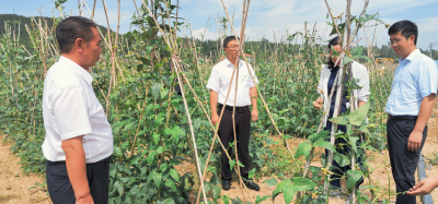 省农业农村厅科教处督导房县农业农村重点工作