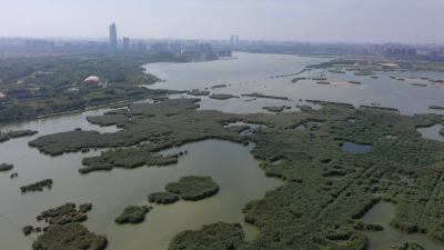 利川“智变” ——一座山区小城的AI突围与干部重塑