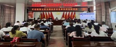 军店镇吹响第五次全国经济普查工作号角