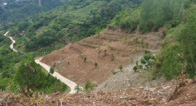 姚坪乡：多措并举 全力推进耕地流失问题整改