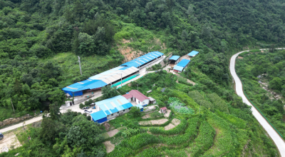沙河乡：扎实推进农村集体资源发包和小型项目工程项目管理专项整治