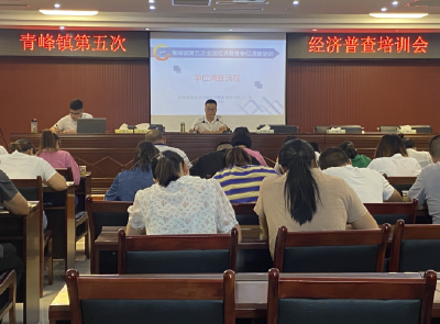 青峰镇组织召开第五次经济普查培训会